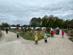 IMG 7782