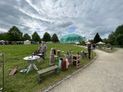 IMG 7858