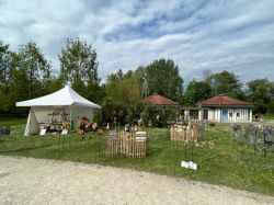 IMG 7866