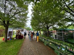 IMG 2689