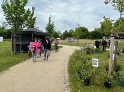 IMG 2695