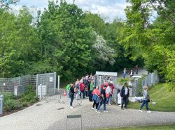 IMG 2809