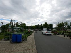 P1030812